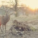 Primeiro cliente freelance em 2026: guia prático com estratégias baseadas em experiências reais do Reddit